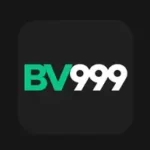 BV999 Game